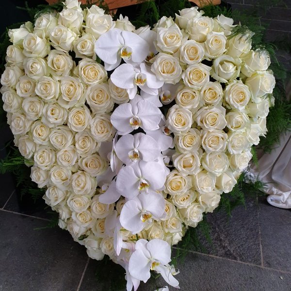 H 13 großes Herz aus weißen Rosen und Phalaenopsis Bild 1