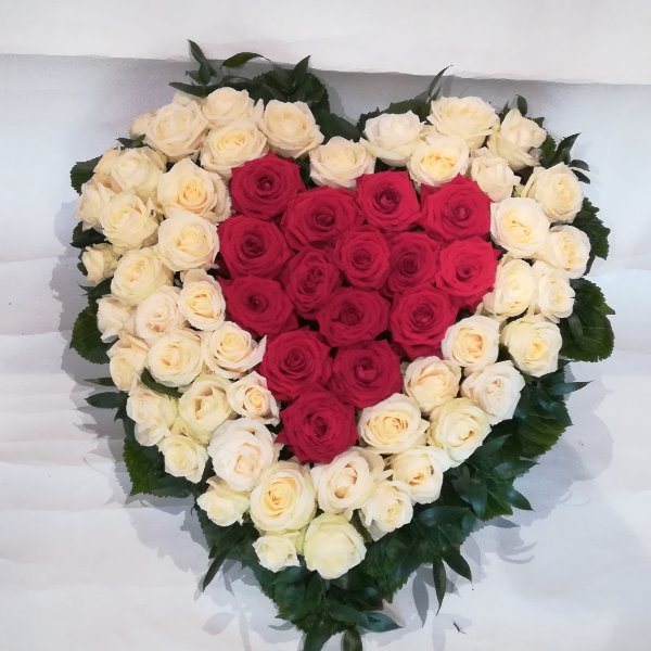 H 15  Herz aus weißen und roten Rosen Bild 2